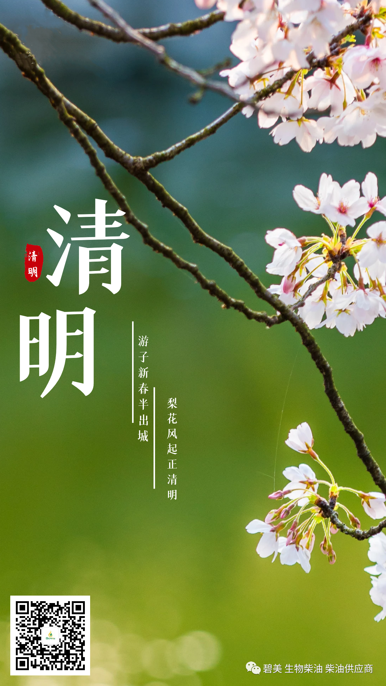 清明节 | 心怀感恩 笃定前行